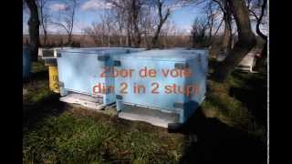 preview picture of video 'Vizita la stupina 31 01 15 0001'
