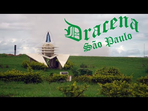 DRACENA -  SÃO PAULO