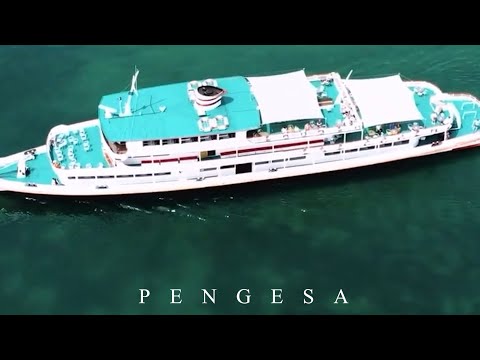 LAVDIM - PENGESA [FIESTA REMIX] [official Video]