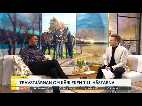 Travstjärnan om kärleken till hästarna: ”De är som min familj” - Nyhetsmorgon (TV4)