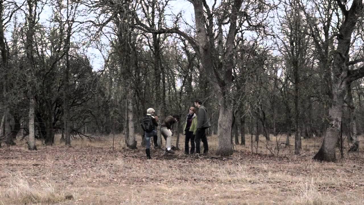 The Invoking Festival Trailer