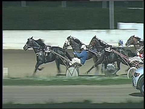 Trotto 11/10/2016 - 7ª corsa