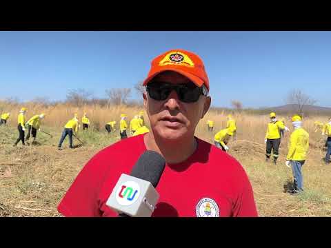 Brigadistas do Piauí participam de atualização de táticas de prevenção e combate a incêndios