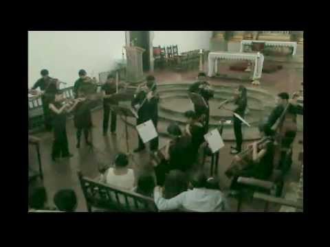 Caucamerata Orquesta - Los Adioses, Osorio