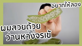 ผมสวยด้วยว่านหางจรเข้