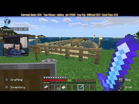 Minecraft  Chill Stream  May 21, 2019 pt2   Moving on Sadly, But Then    What's THIS !