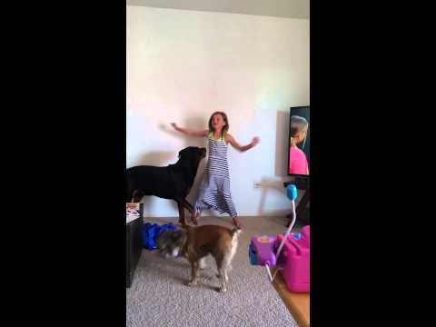 Dog interrupts dance