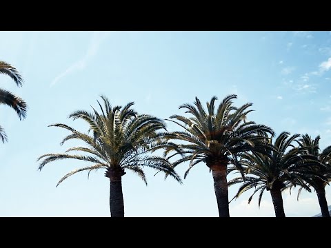 Video thumbnail for VW Bus