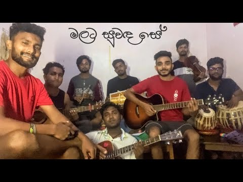 මලට සුවඳ සේ  | Malata Suwada Se | Cover | #කලාව