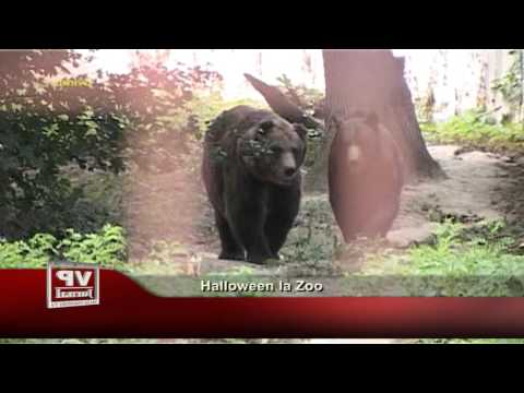 Halloween la Zoo