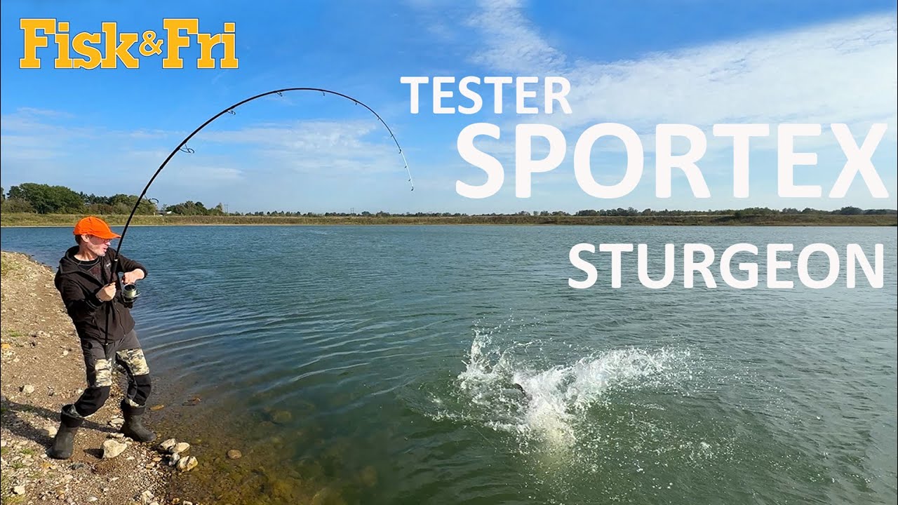 VIDEOGREJNYT: FISK & FRI TESTER DEN NYE SPORTEX STURGEON STANG