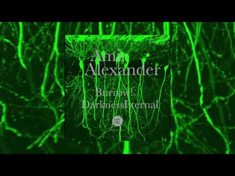 [3EEP 2016_05] Amir Alexander - Darkness Eternal
