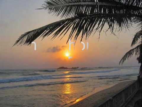 Verskillend - Feeling Irie -- feat. Ace Black