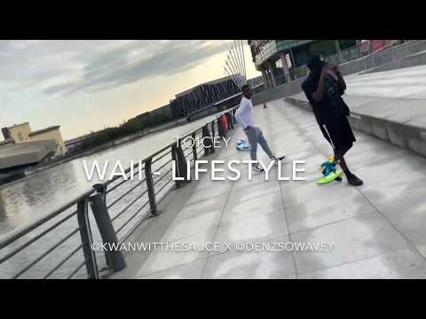 TOICEY -  WAII STYLE