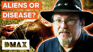 Cattle Mutilations: Aliens or Secret Government Operation? | The Unexplained Files