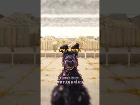 Уличные собаки не бегают за палкой 🐶 #фильм #сериал #моменты #shorts