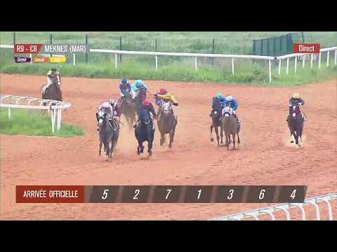 Live Hippodrome « MEKNES » | Courses du « 09/03/2023 »