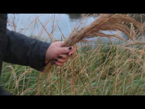 Alan Walker "Faded" ( Julian calor Remix)