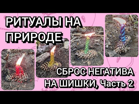 2ч.) Ритуалы на природе 🌲 Сброс (переклад) негативных программ на еловые шишки (для практиков)