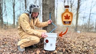 Trying to Make Our Own MAPLE SYRUP (not sure if it'll work)