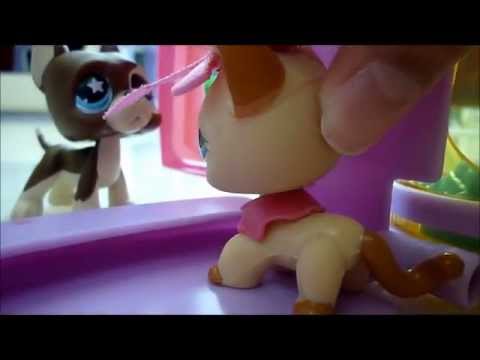 LPS || Love Story || Episode 1