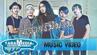 ควายรับบาป – วงพาโล (PALO)