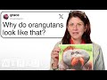 Primatologist Answers Ape Questions From Twitter | Tech Support | WIRED