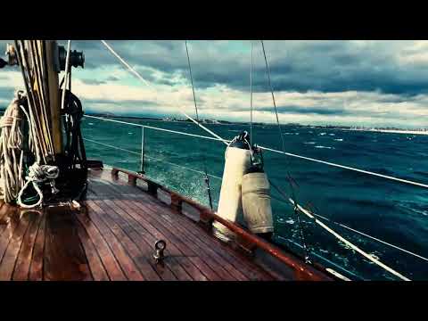 Vindo 40 Coming home