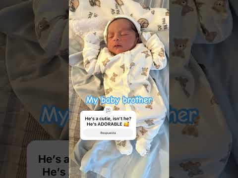 25 de octubre de 2025