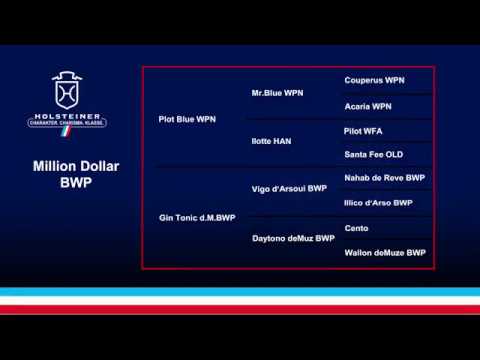 Million Dollar v. Plot Blue-Vigo d'Arsouilles | Neumünster