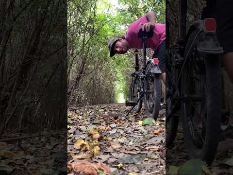Pueblo de Lobos. Buenos Aires, Argentina 🇦🇷🐺🖤🚲Viajando de mochilero por toda Sudamerica.