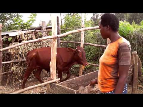 Jeannette's journey out of poverty