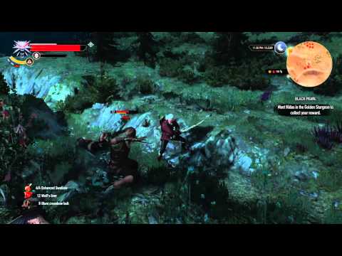 The Witcher 3: Wild Hunt - Double slice