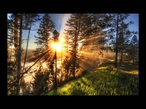 DJ D'mente - I Will Always Be With You (Extend Intro Edit)