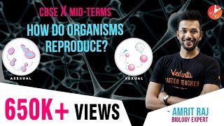 Super Easy Way to Learn How do Organisms Reproduce - 1 | CBSE Class 10 Science Chapter 8 | Vedantu
