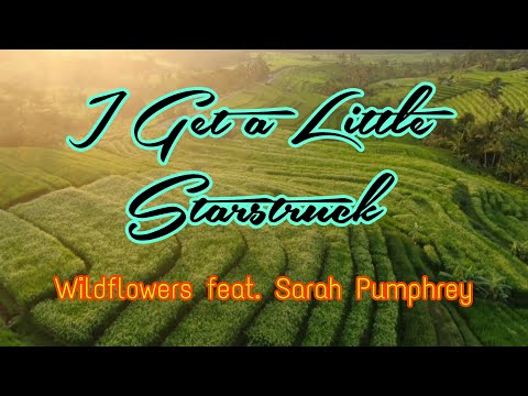 I Get a Little Starstruck - Wildflowers feat. Sarah Pumphrey (Full lyrics video)