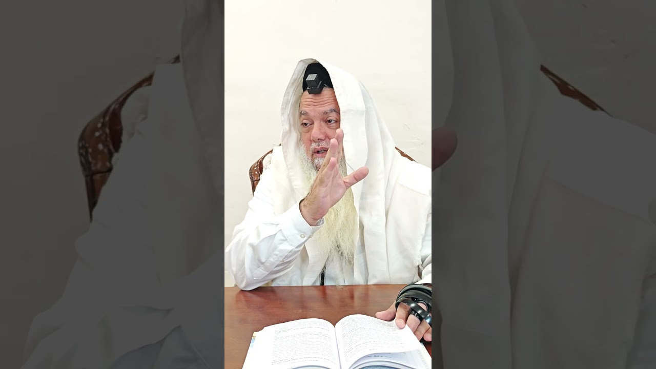 שער הביטחון | סבב שני - פרק 228