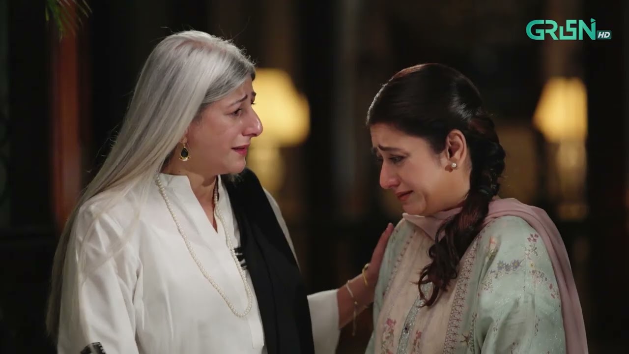 Aik Bhool Episode 39 | Best Scene 05 | Green TV Entertainment