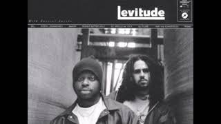 Various Blends - Levitude