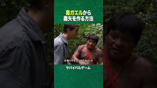 #shorts 気まずそうな、毒矢づくり(ディスカバリーチャンネル)
