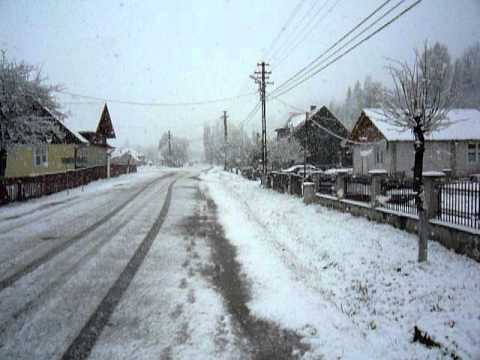 NINSOARE IN MAI LA ULMA,IN BUCOVINA,ROMANIA