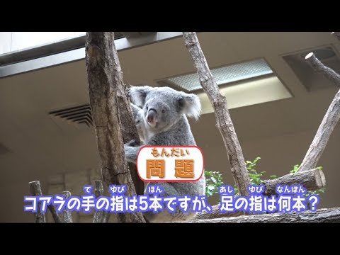 アニア探検隊！東山動植物園