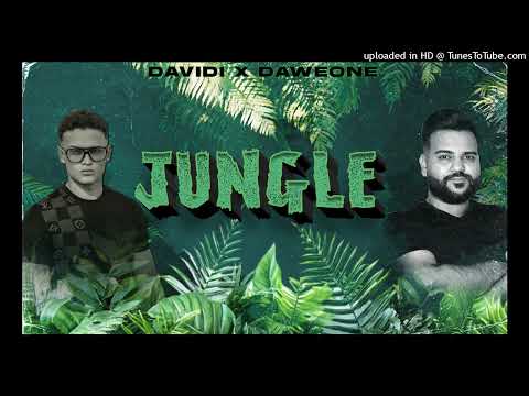 Davidi x DaweOne - Jungle