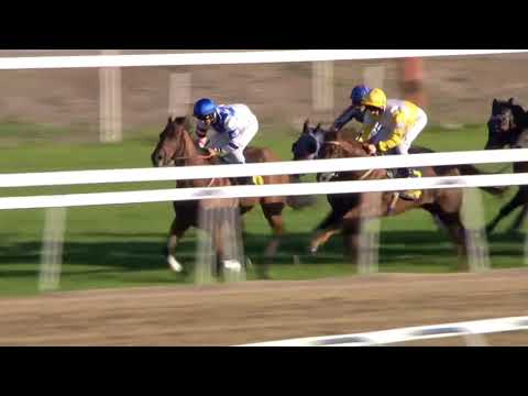 2018.09.23 Bro Park Sprint Championship (SWE) - Ambiance.