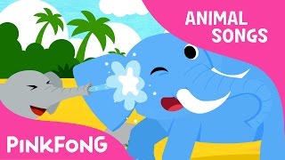 Mr Fun Elephant  Elephant  Animal Songs  Pinkfong 