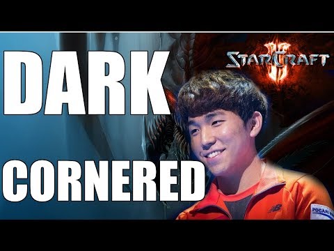 EYES OF A PROGAMER - Dark's Zerg Tenacity