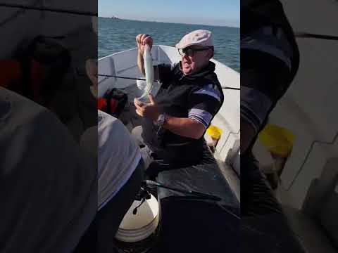 Tremenda pesca en Monte Guamini guia @juanmanuel.bermejo tel +54 9 2923 57-1118.