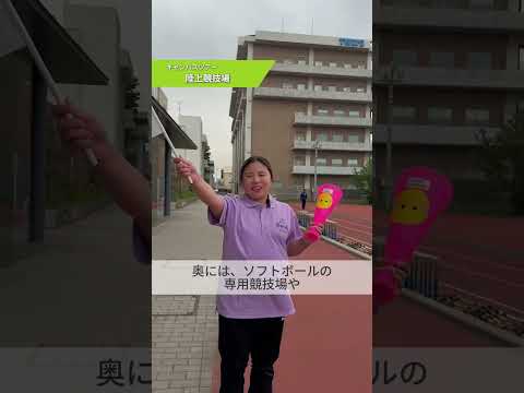 NAVIキャン