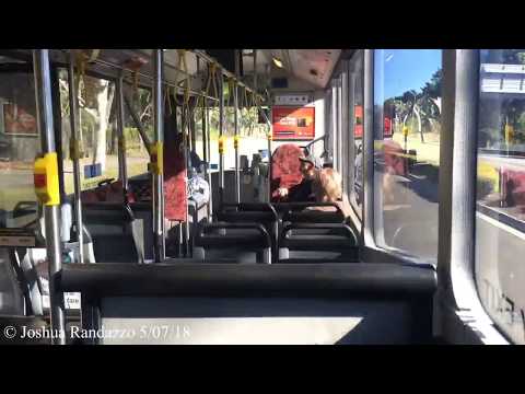 Sydney Buses m/o 1228 - Mercedes Benz O 405NH CNG (Nice ZF)