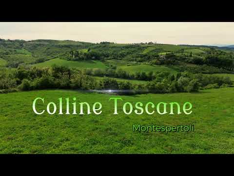 Colline Toscane di Montespertoli - Firenze